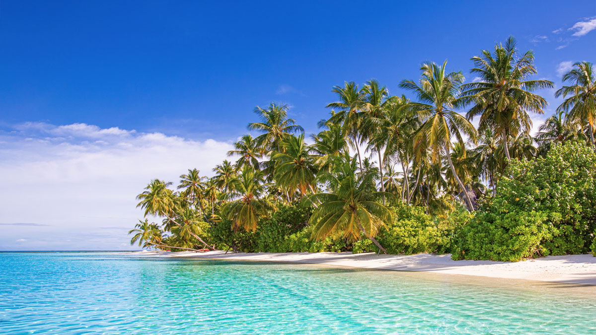 Free Look Period for Travel Insurance