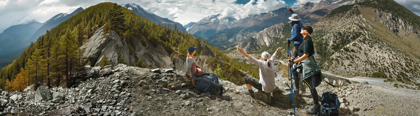 Traveler Guidance Article Hub